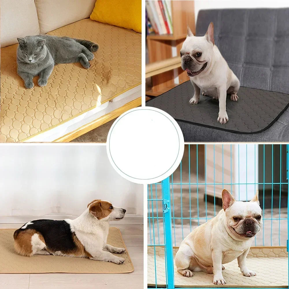 Tapis de bain pour chien chat